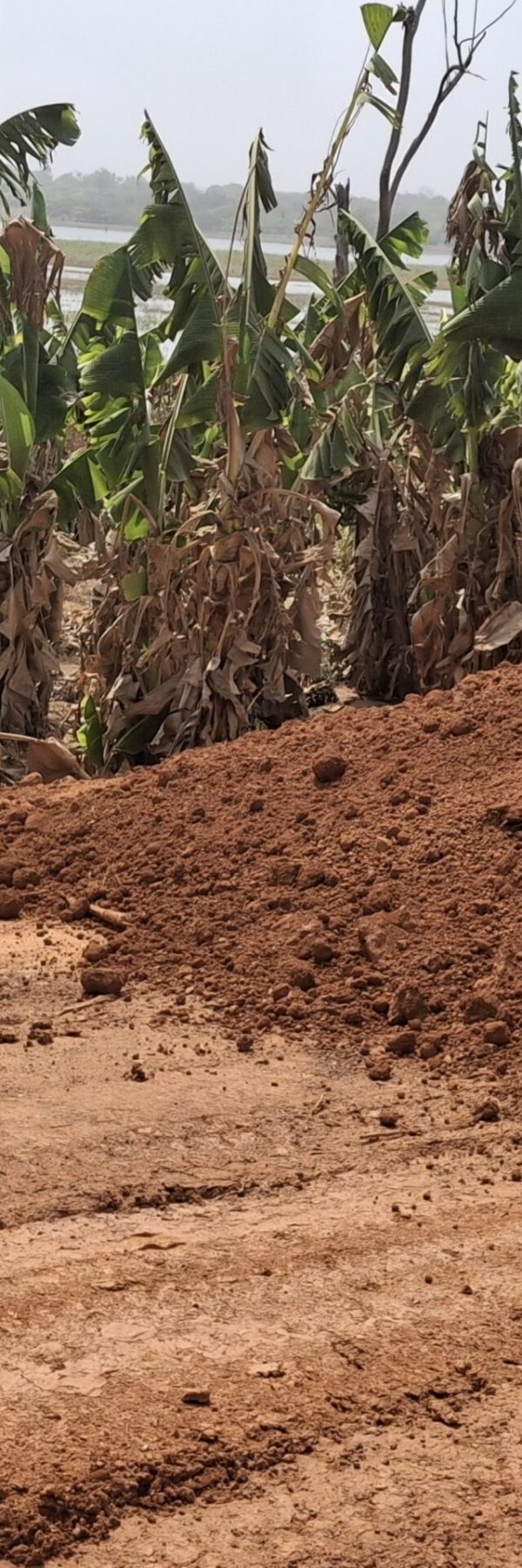 visite terrain4